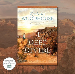 A DEEP DIVIDE by Kimberley Woodhouse - A Reader's Opinion